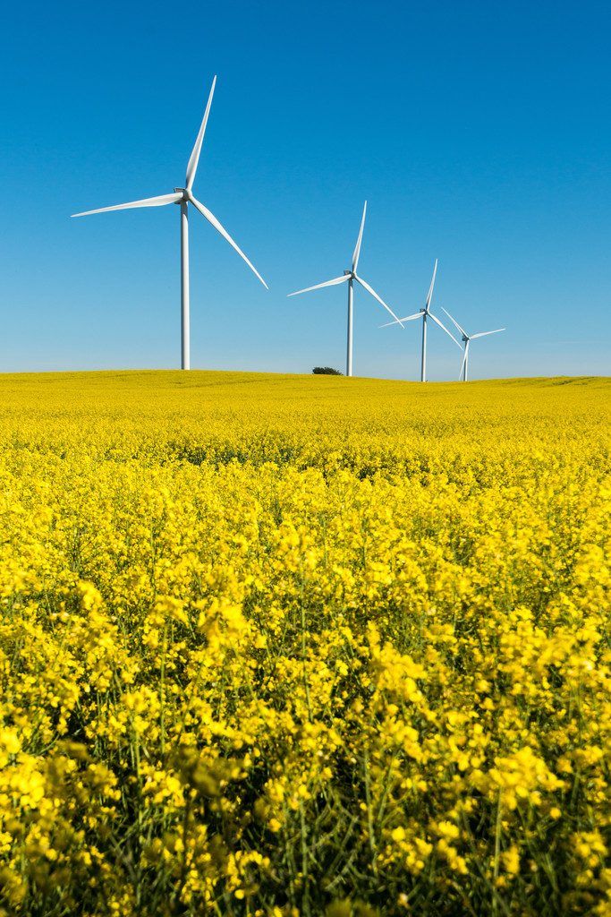 Grün bewegt sich aus der Nische