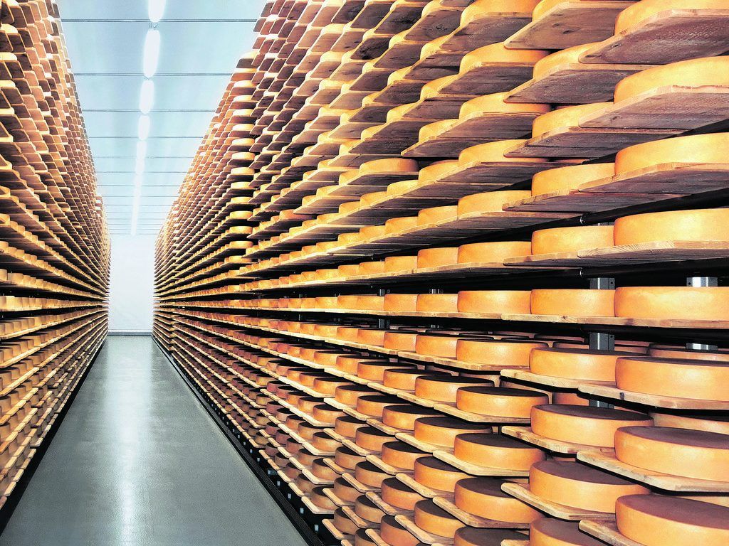 BERTSCHfoodtec: Anlagen für restlose Rohstoffverwertung in der Milchwirtschaft