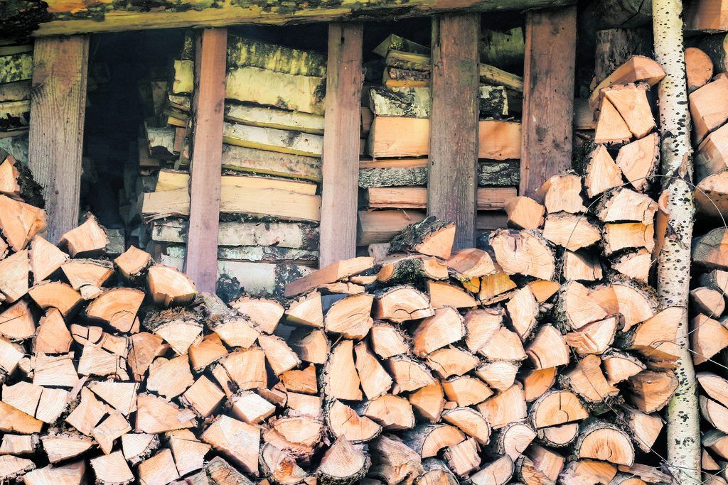 Holz schon eingelagert?