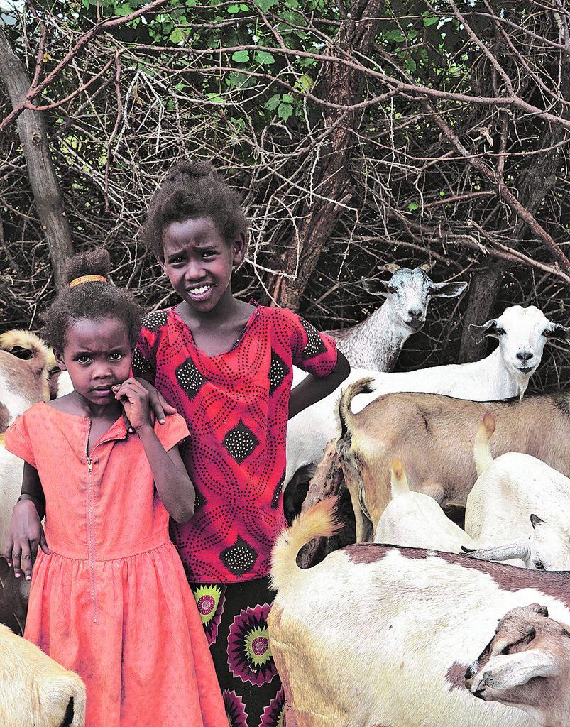 Klimawandel trifft die Ärmsten zuerst