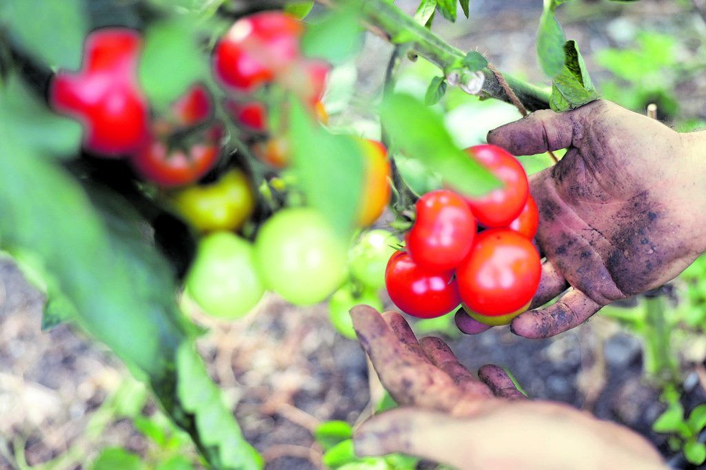 „Landgenossen“ für ein „Bio-Ländle“