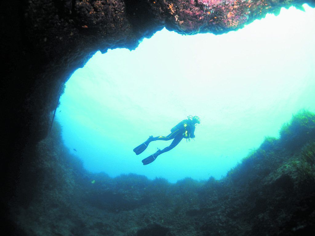 Spektakuläre  Unterwasserwelt