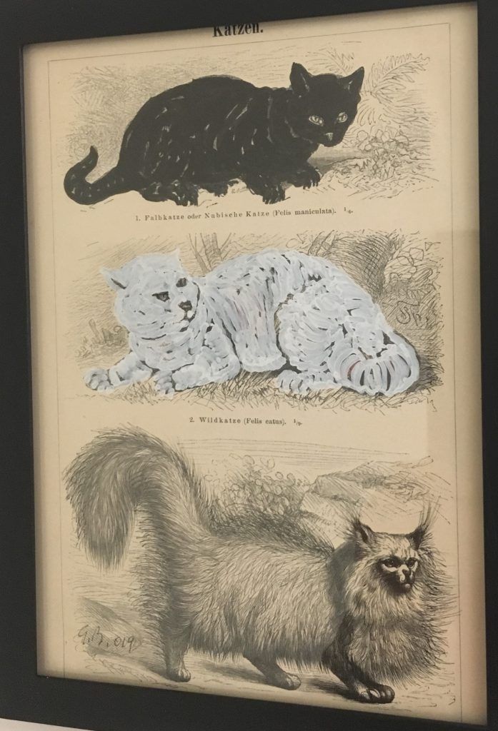 Mit dem Zeppelin ins All