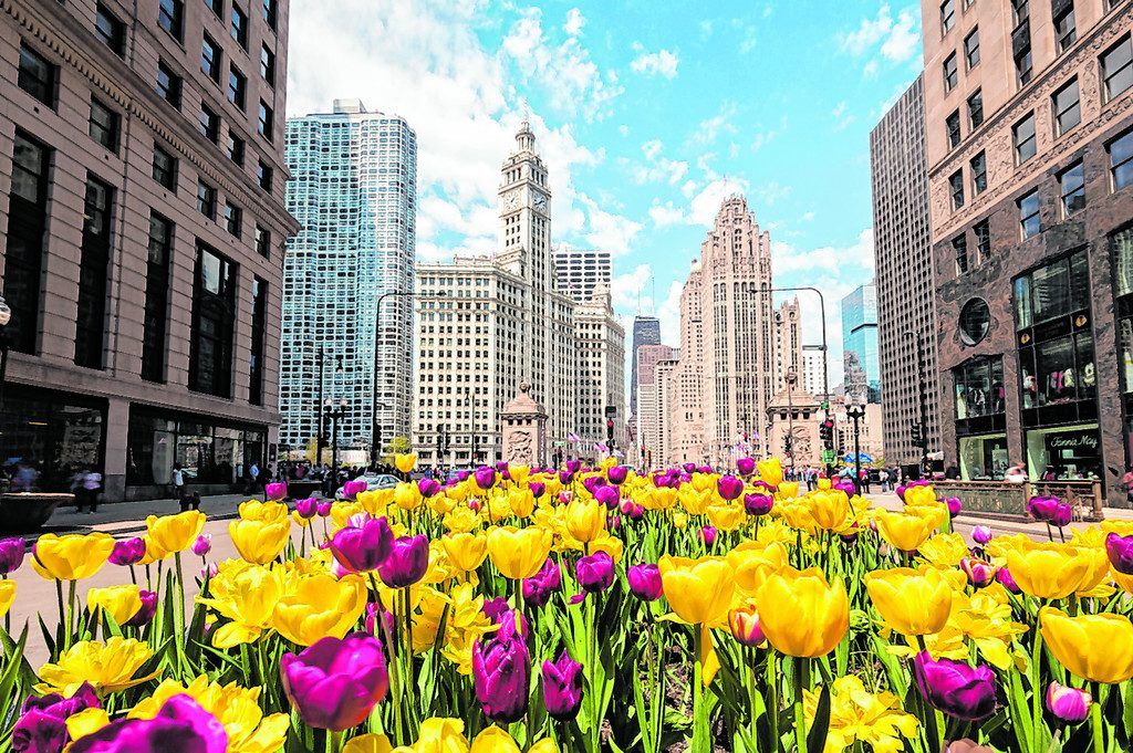Shoppen auf der  Michigan Avenue