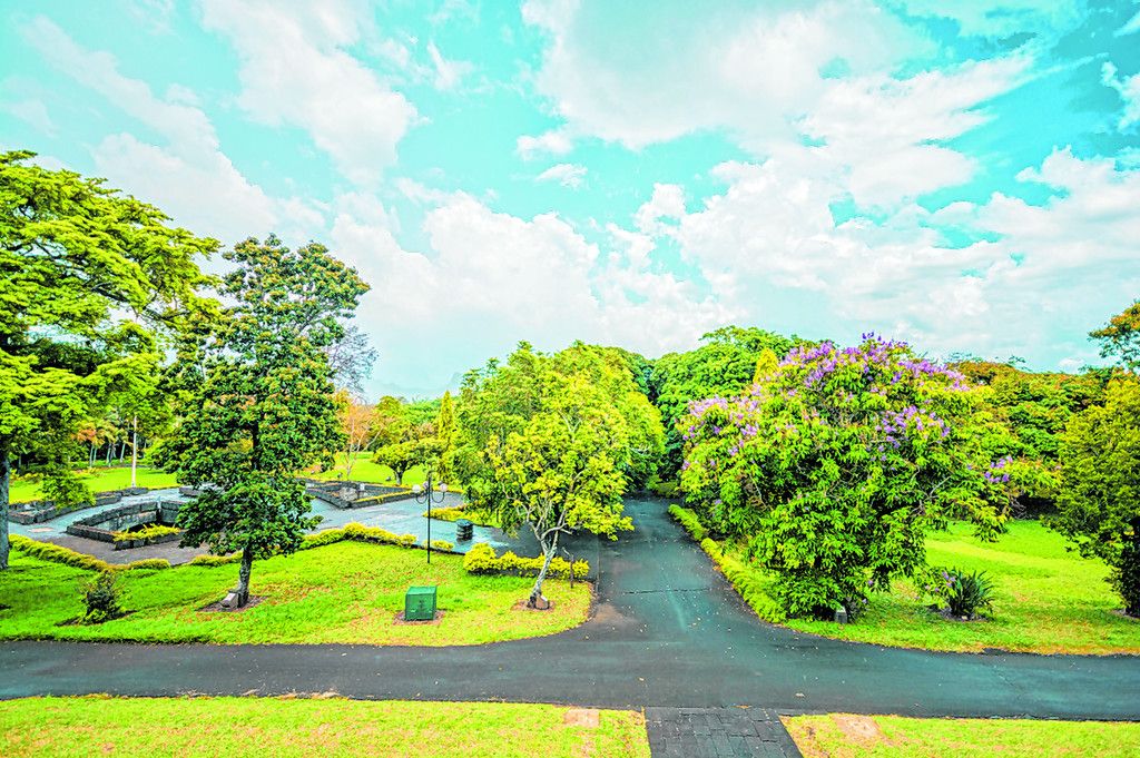 Botanischer Garten - Vorarlberger Nachrichten | VN.at