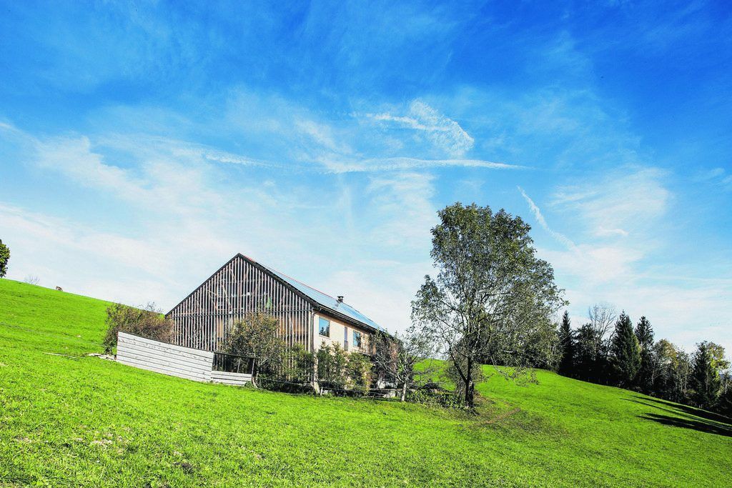 Mitgewachsen