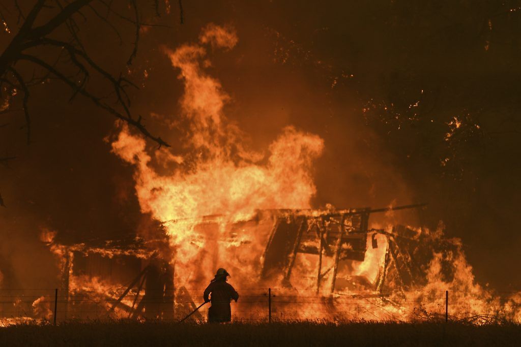 Flucht vor dem Buschfeuer