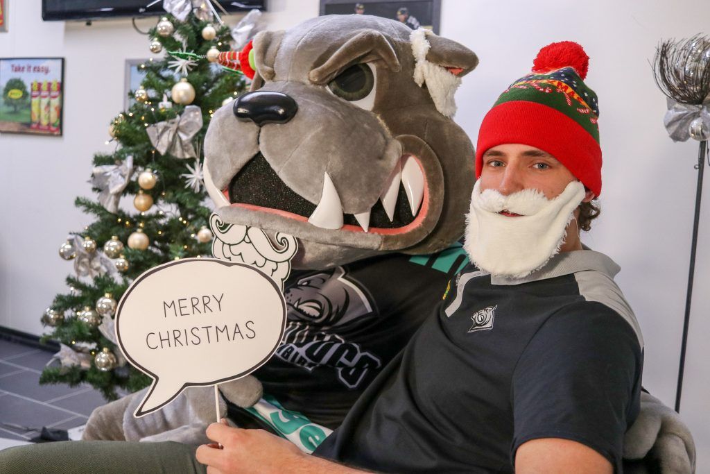 Der VN.at-Adventkalender mit den Bulldogs, Teil 20
