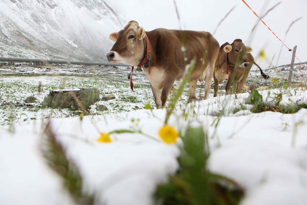 Atmen und der Klimawandel