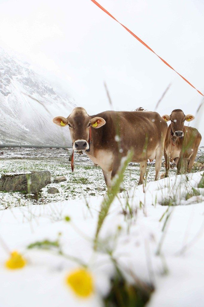 Atmen und der Klimawandel