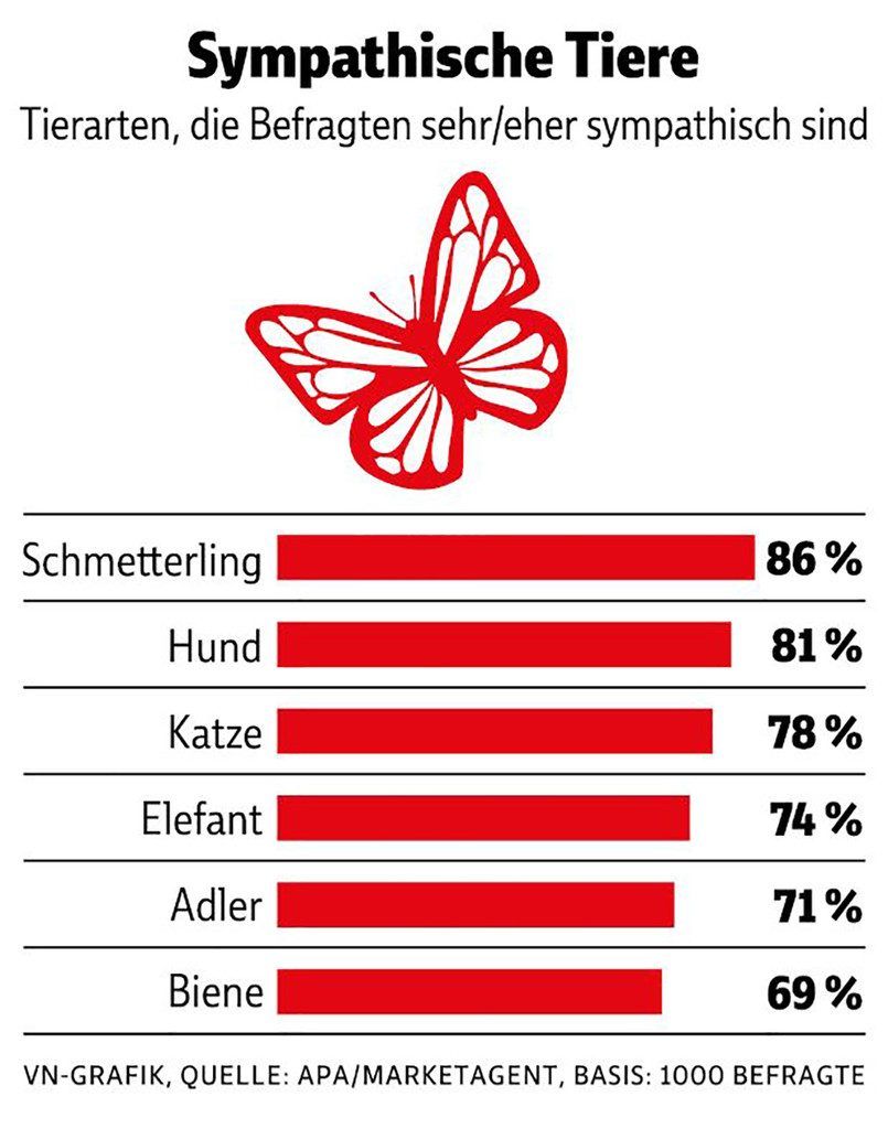 Tiere sind ein Thema