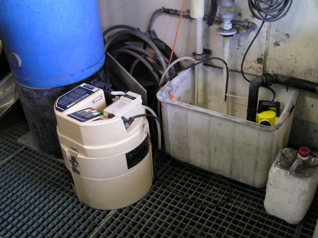 Detektive der Gesellschaft