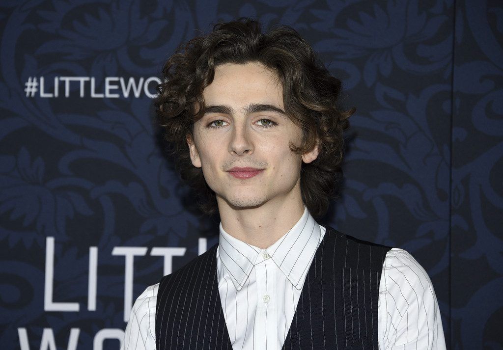 Timothée Chalamet soll jungen Bob Dylan spielen