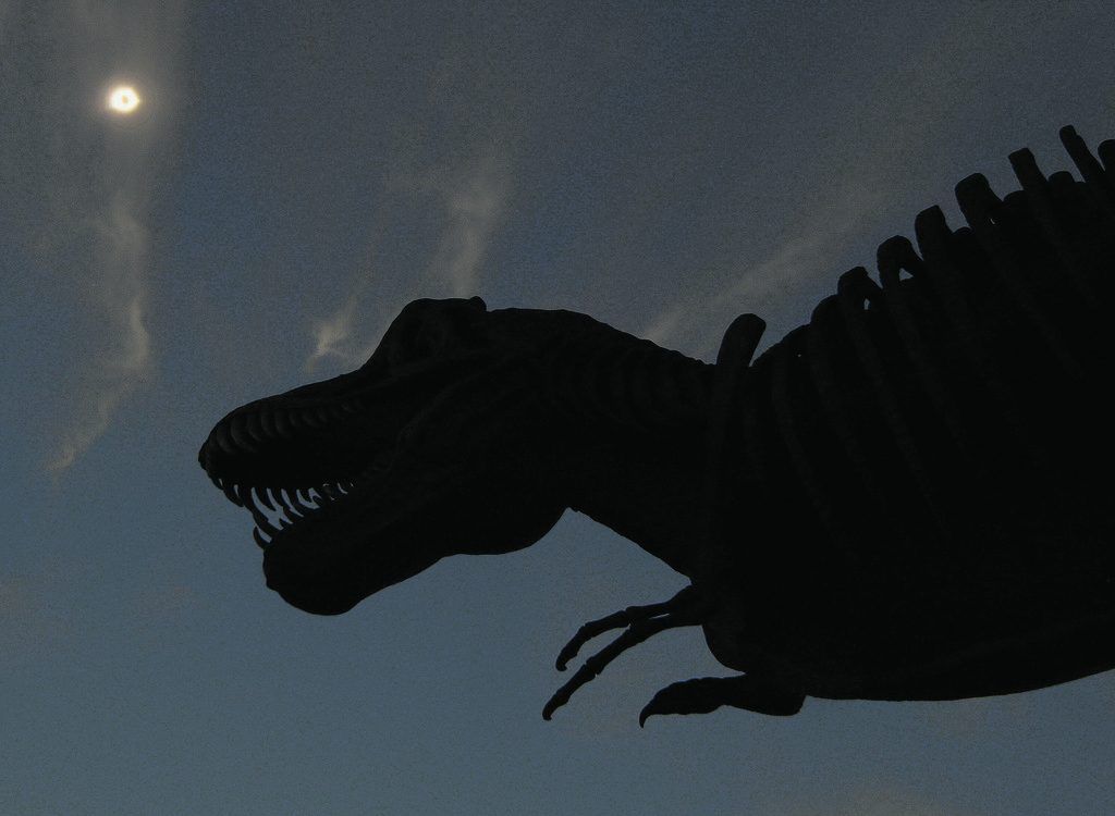 Neue Studie verwirft Theorie von Mini-Art des T. Rex