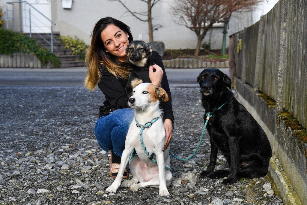 Eine Stimme für Hunde