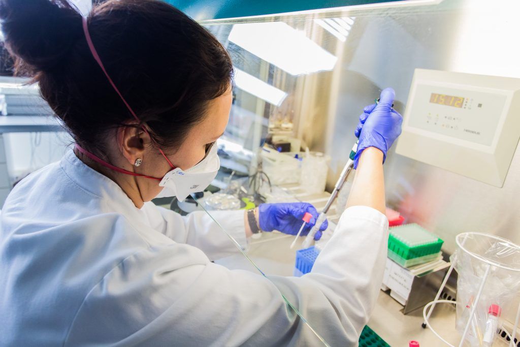 Entschärftes Virus erlaubt Resistenzbeobachtung