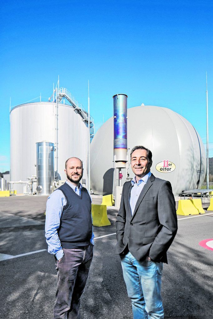 Die drei tragenden Säulen