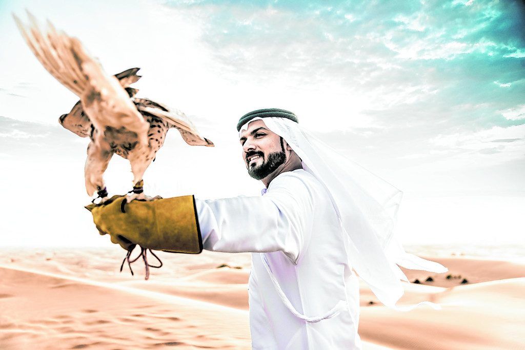 Raubvögel als Teil der Kultur