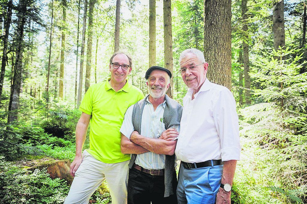 Klimaanpassung durch Wald und Moore