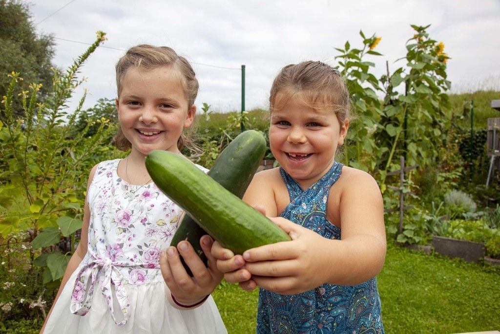 Fit durch die Gartensaison