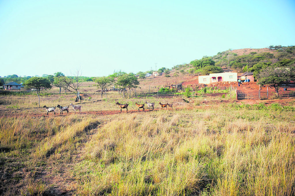 KwaZulu-Natal im Osten Südafrikas