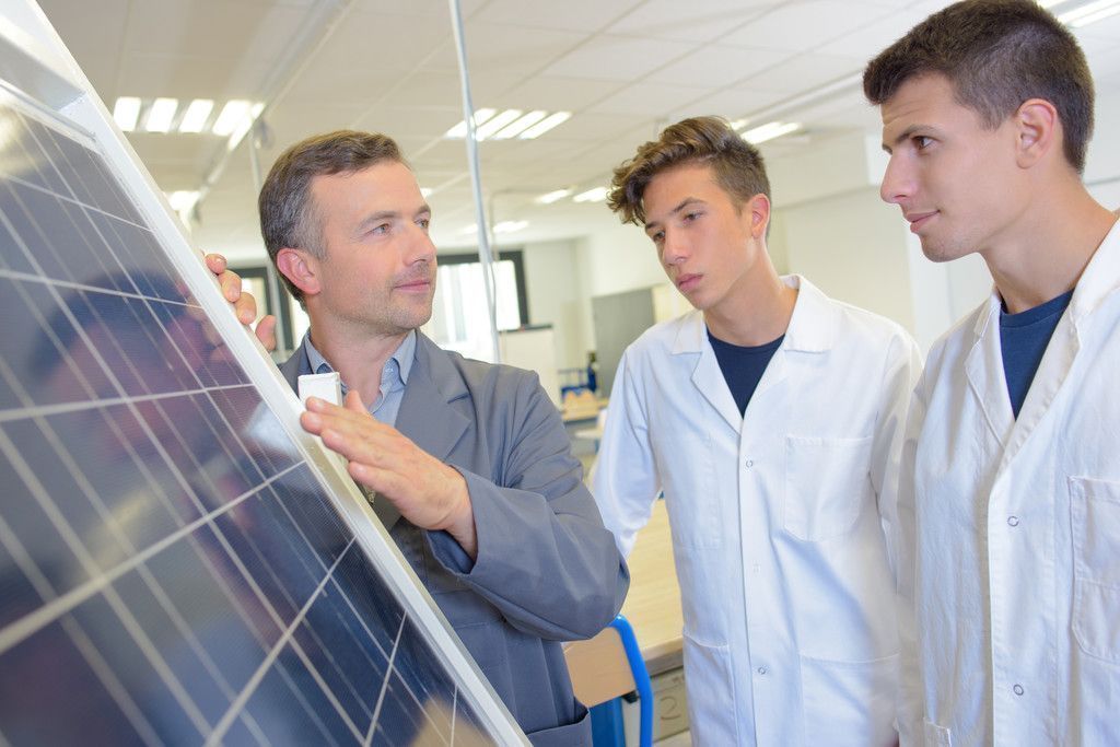 Papaya-Enzym verbessert Solarzellen