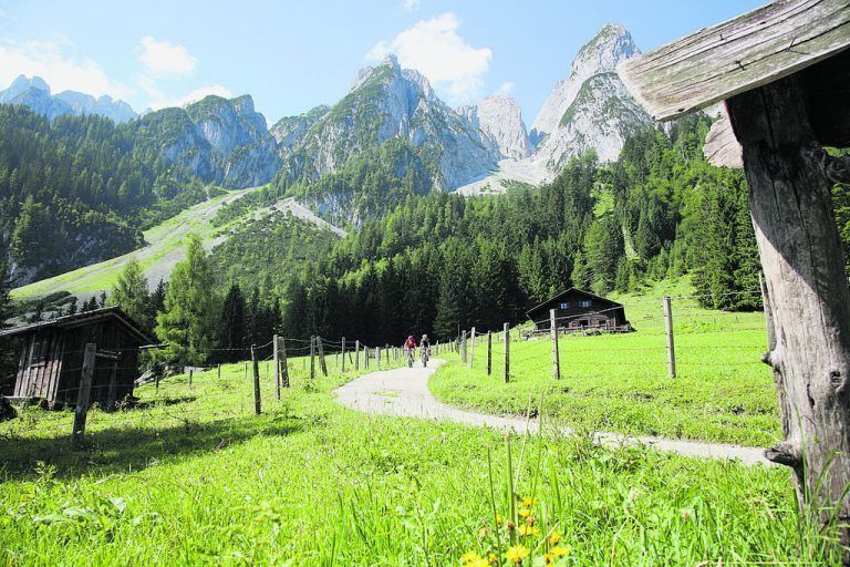 Mit Blick auf den Dachstein geht es entlang der Wiesen.STMG/Christian Parzer