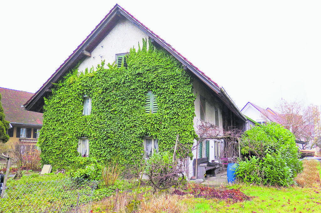 Gebrauchte Immobilien genau prüfen