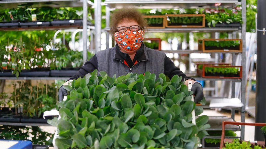 Vorarlbergs Marktverkäufer sind zurück