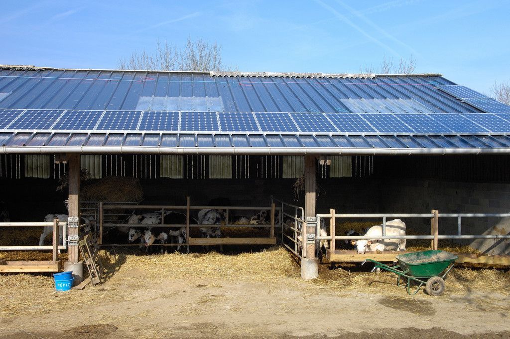PV-Technik in der Landwirtschaft