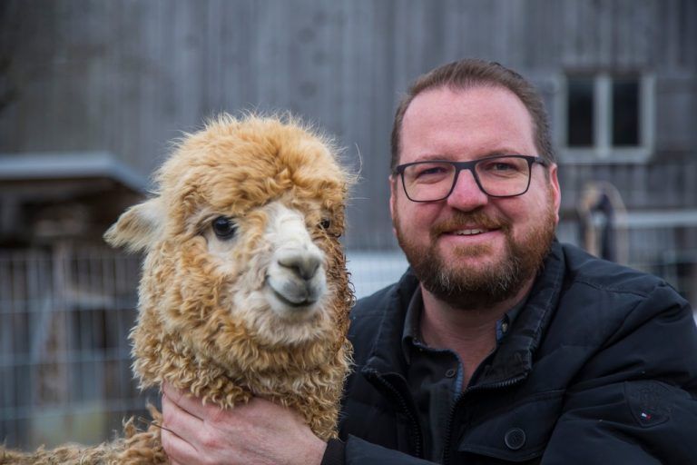 Bald erhalten die Alpakas ihren Sommerhaarschnitt.vn/paulitsch