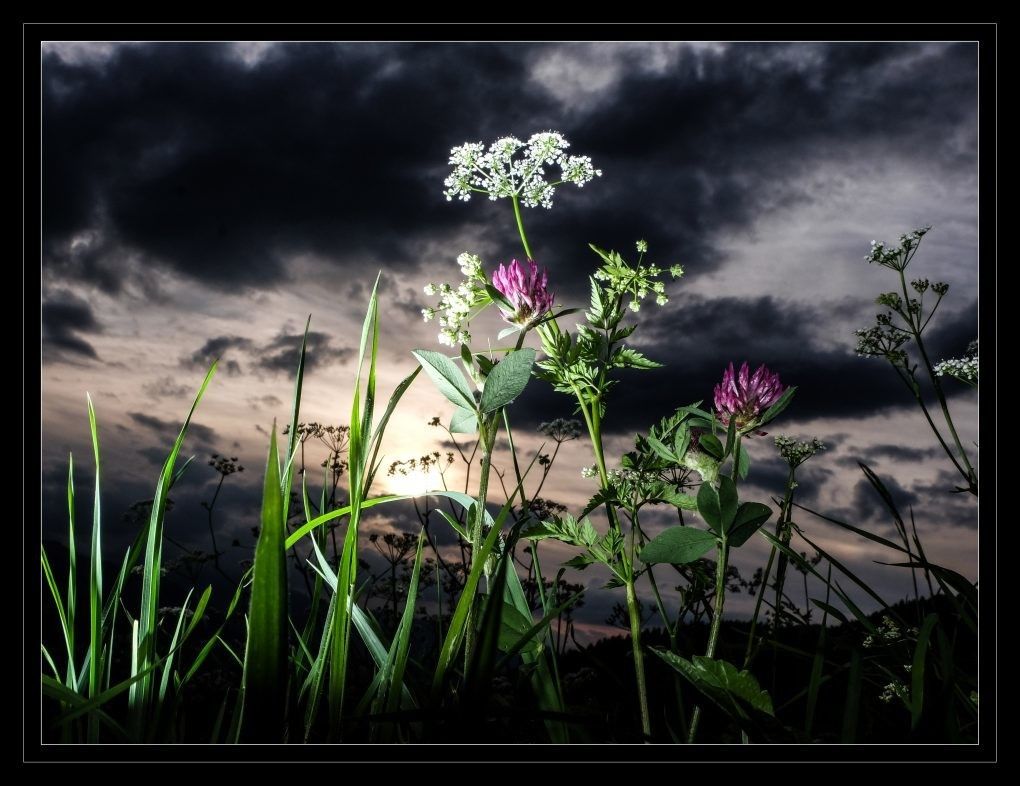 35 Jahre  Fotoklub Nüziders