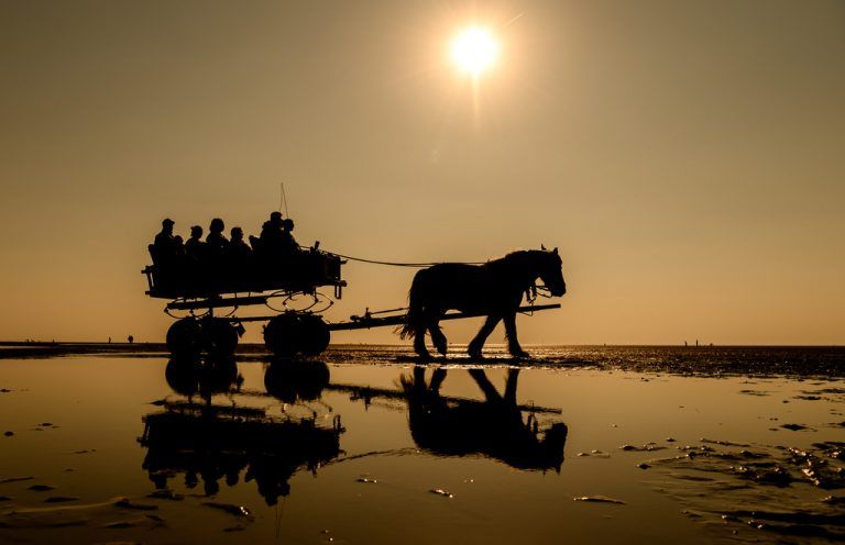 Ein Kutschenwagen mit mehreren Personen wird am Abend bei Ebbe durch das Wattenmeer gezogen. APA