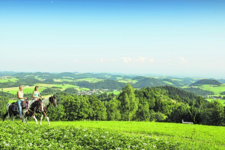Wanderreiten im Mühlviertel