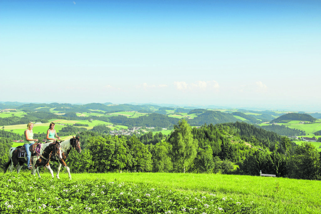 Wanderreiten im Mühlviertel