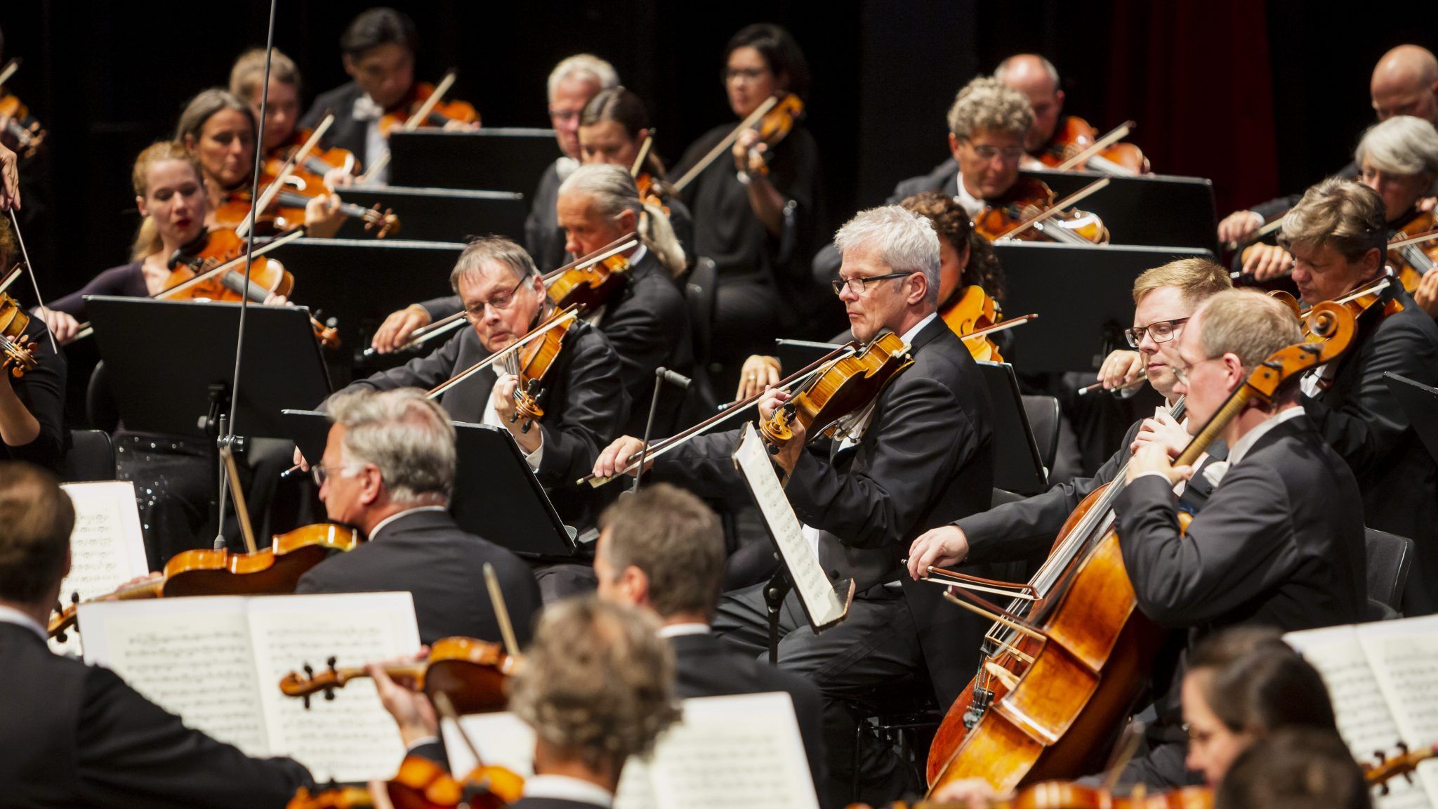 Keine zweite Heimat für die Wiener Symphoniker - Vorarlberger ...