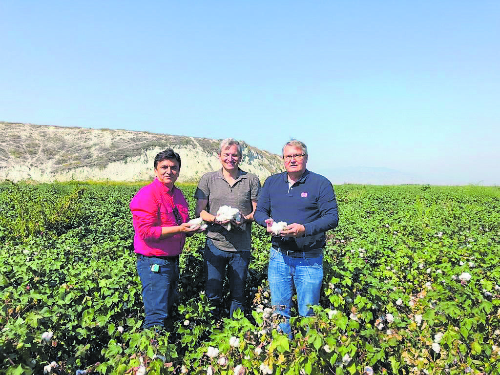 Mary Rose: vier Säulen der Nachhaltigkeit