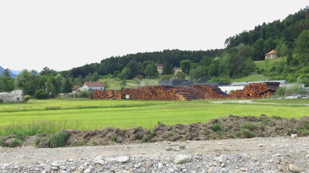 Neues Holzlager am Degerdonareal