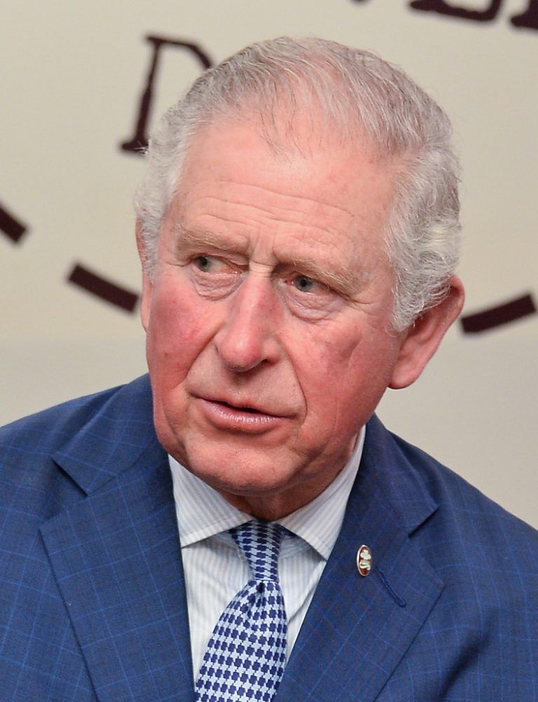 Der Prinz setzt sich schon seit Langem für Umweltschutz ein. Reuters