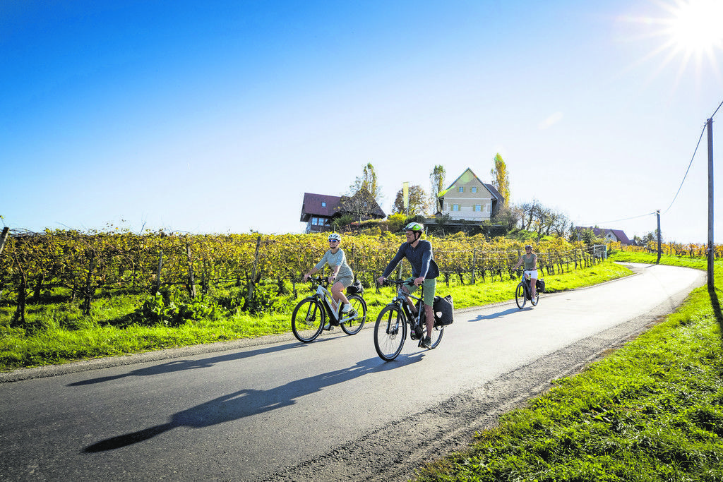 Mit dem Fahrrad durch das Weinland