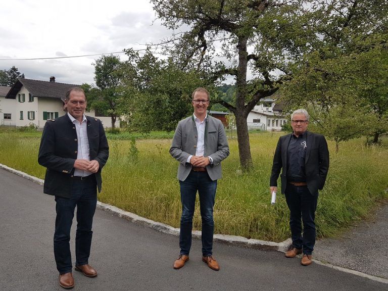 Holzbaupotenzial im Land besser nutzen Vorarlberger Nachrichten VN.at