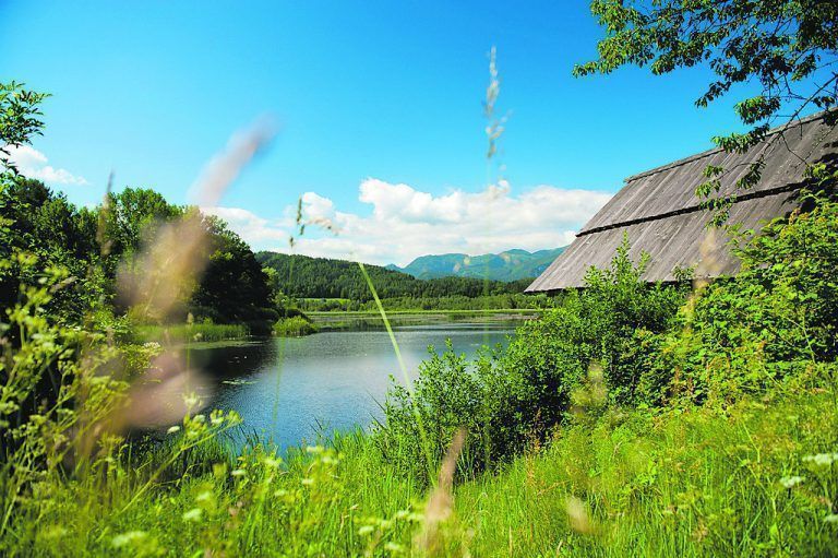 Naturschutzgebiet Sablatnigmoor