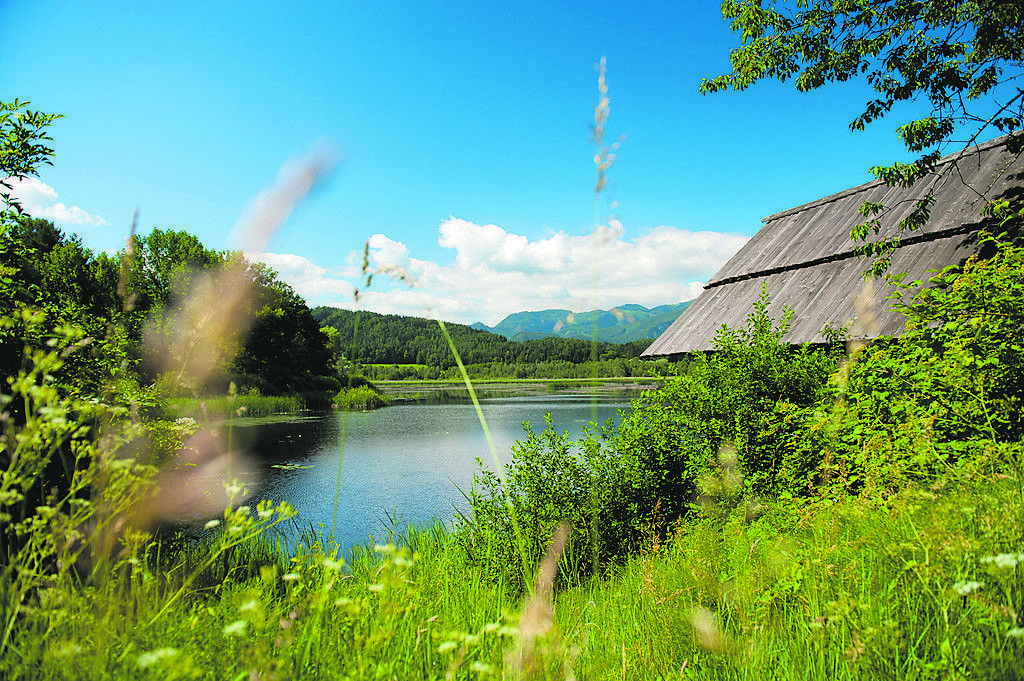 Naturschutzgebiet Sablatnigmoor