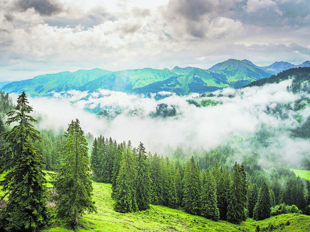 Malerisches Alpental