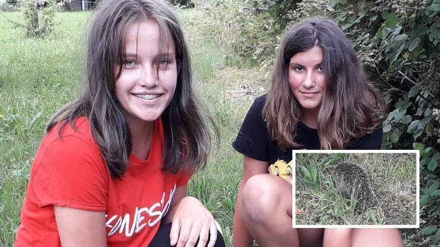 Mädchen retteten Igel aus Notlage