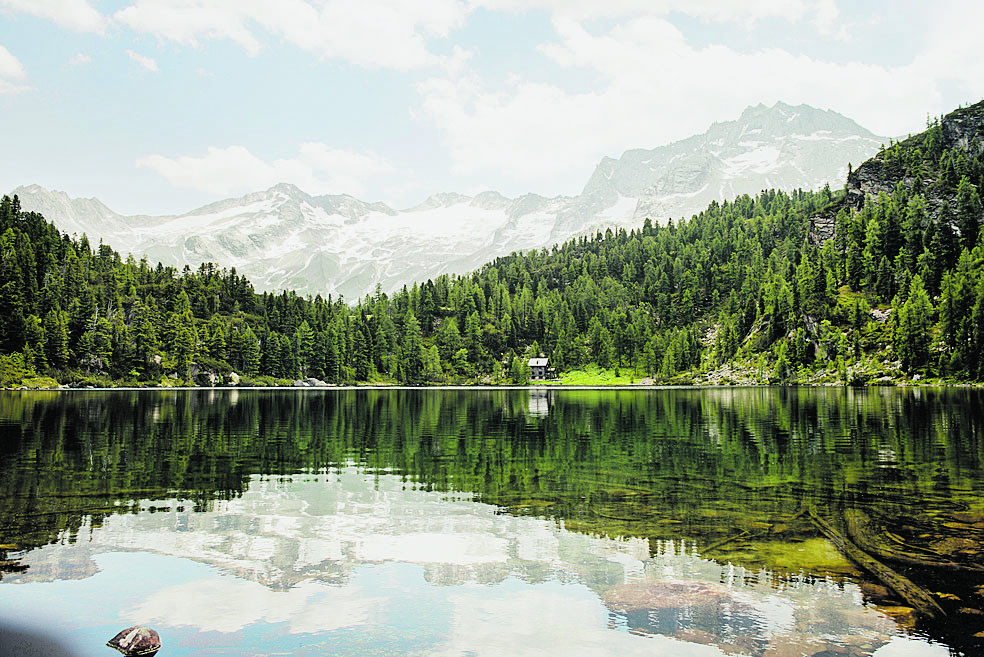 Naturparadies Reedsee