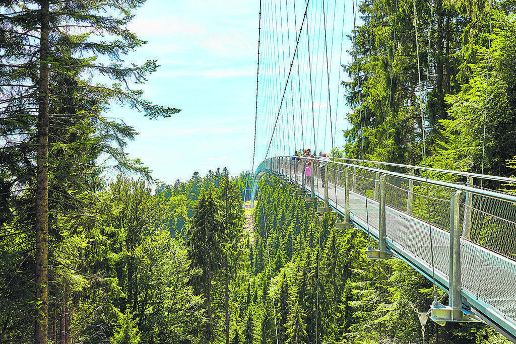 Für Schwindelfreie und Mutige: Die Wild Line in Bad Wildbad