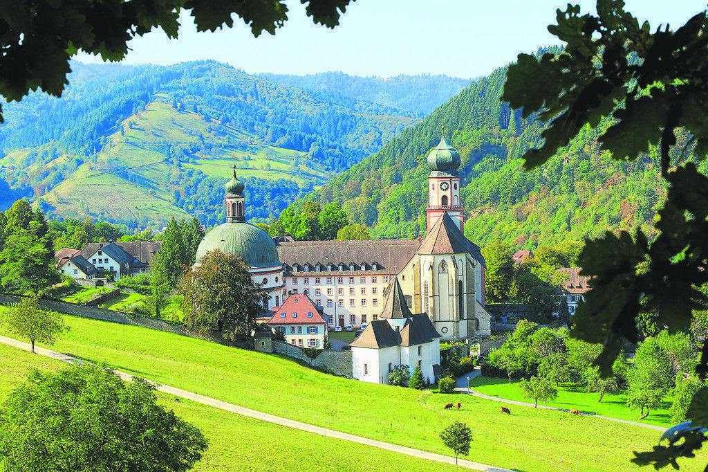 Naturerlebnis Schwarzwald