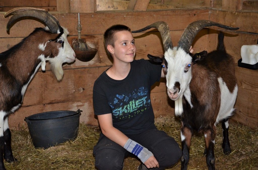 Tiere kennen kein Corona