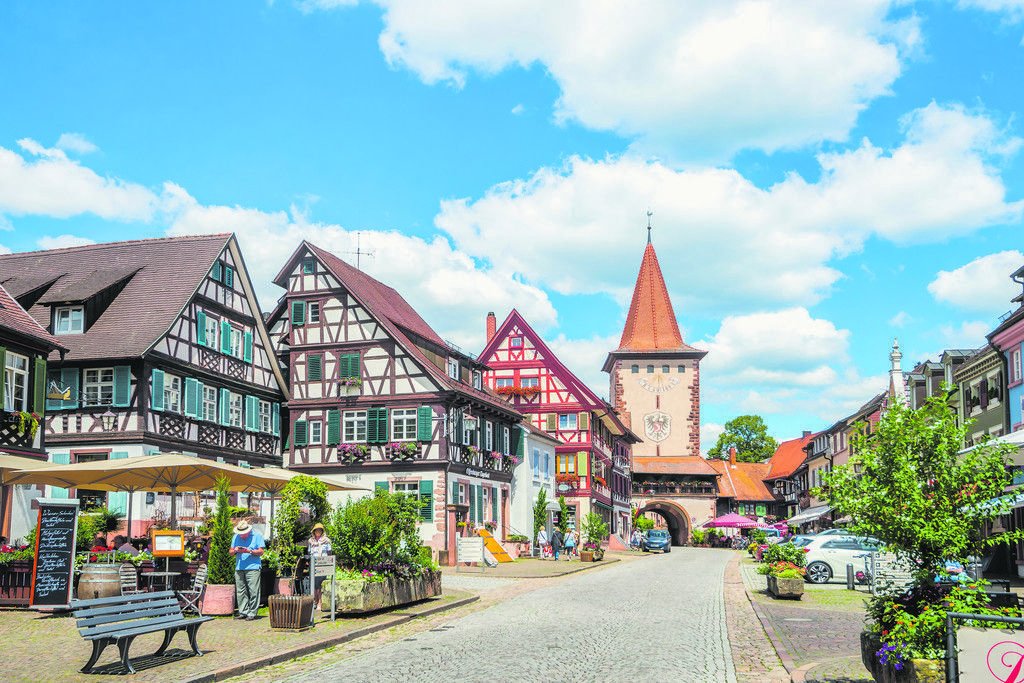 Fortsetzung der Geschichte Naturerlebnis Schwarzwald von Seite F1